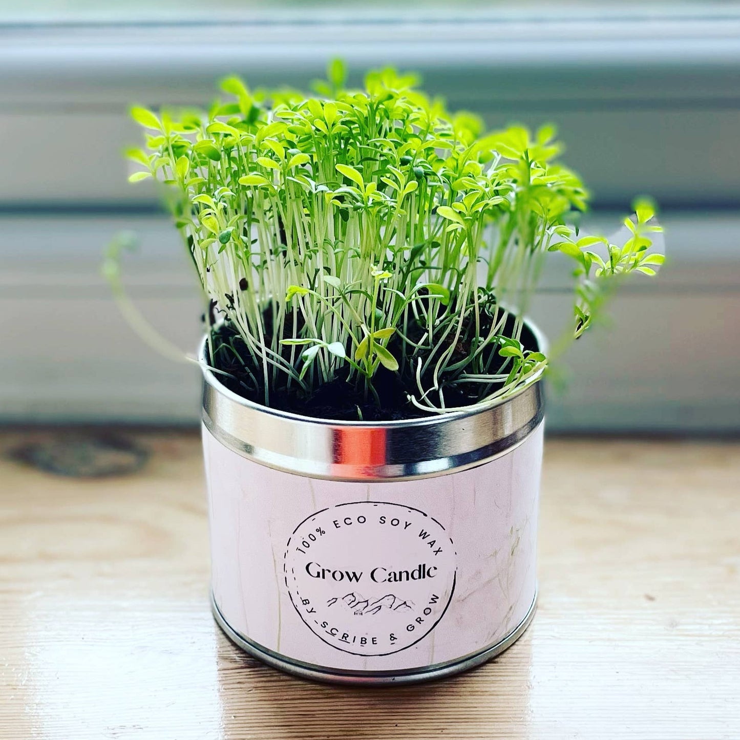 GROW CANDLES