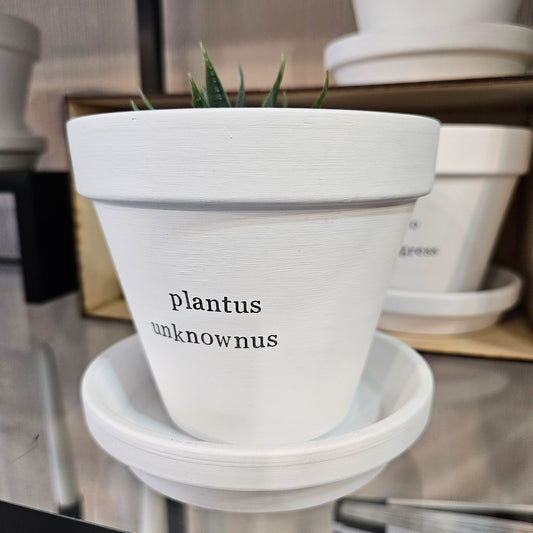 PLANTUS UNKNOWNUS