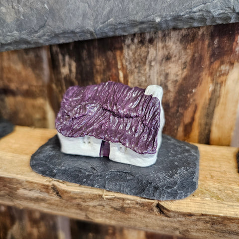 WONKY BOTHY - PURPLE