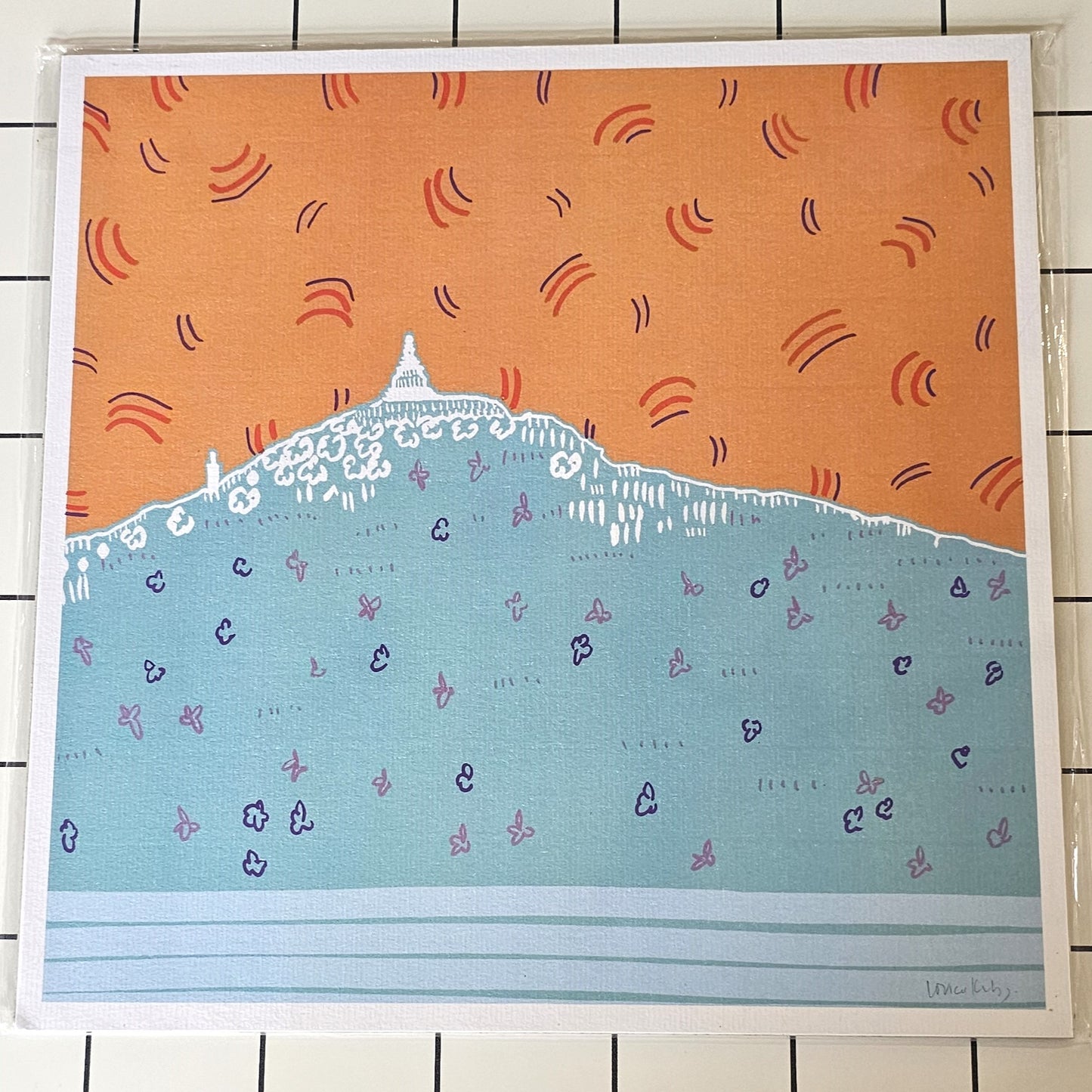 DUNDEE MARMALADE SKIES WITH WILD FLOWERS