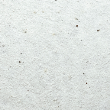 PLANTABLE 'HAPPY BIRTHDAY' CARD