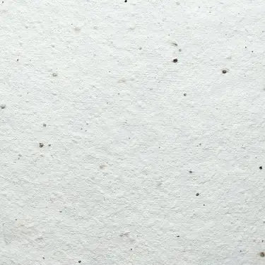 PLANTABLE 'WEDDING DAY' CARD