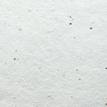 PLANTABLE 'HAPPY BEE DAY' CARD