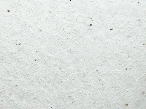 PLANTABLE 'HAPPY BIRTHDAY' BLUE CARD