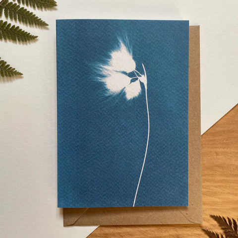 CYANOTYPE CARDS
