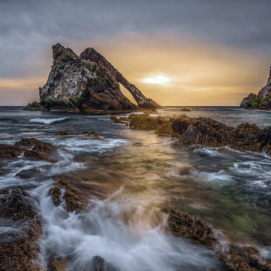 COASTAL COLLECTION - BOW FIDDLE AWAKES