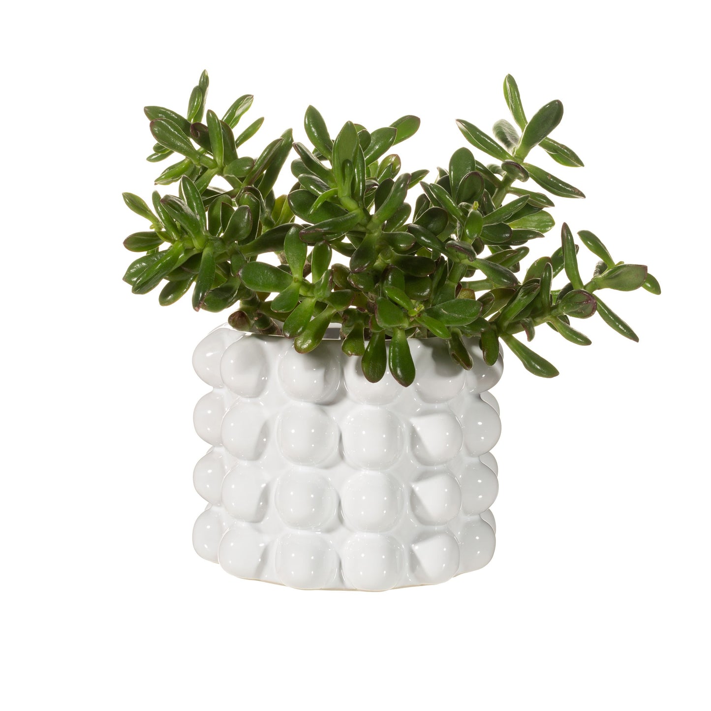 WHITE BOBBLE PLANTER