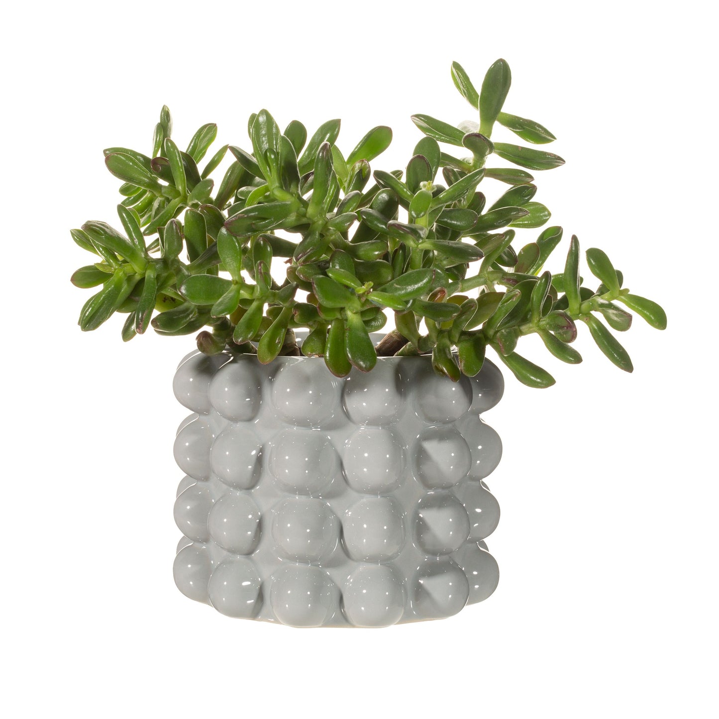 GREY BOBBLE PLANTER
