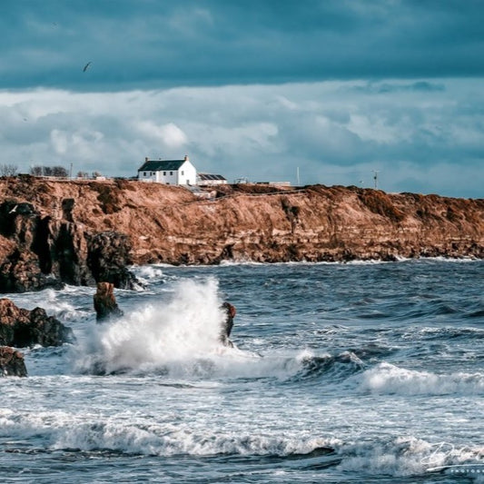 COASTAL COLLECTION - HENS ROCK