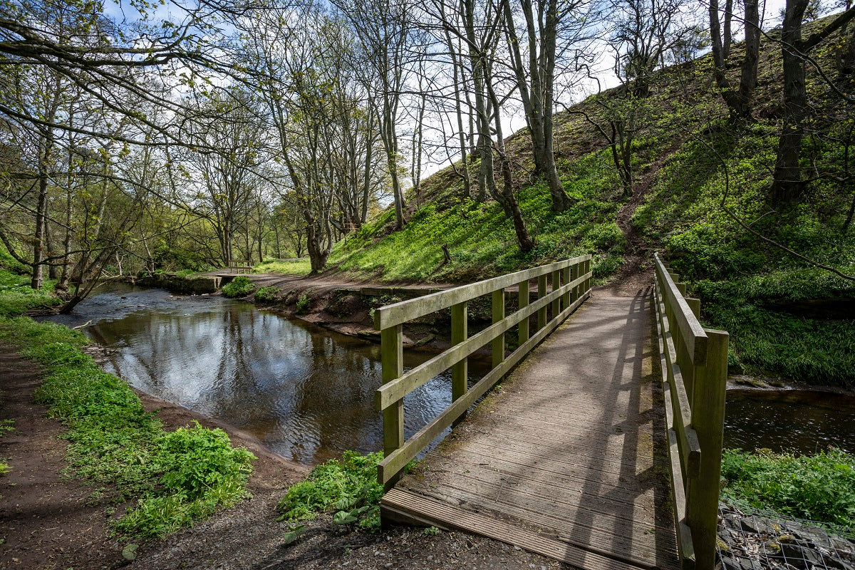 Wooden bridge over a stream in a forested area with green hills and trees.