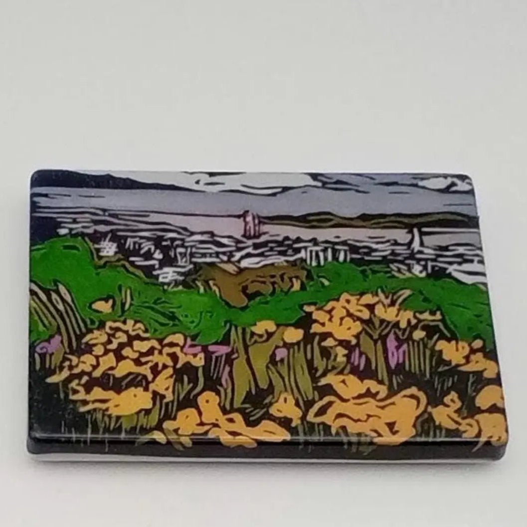 CYCLING VIEWS MAGNETS