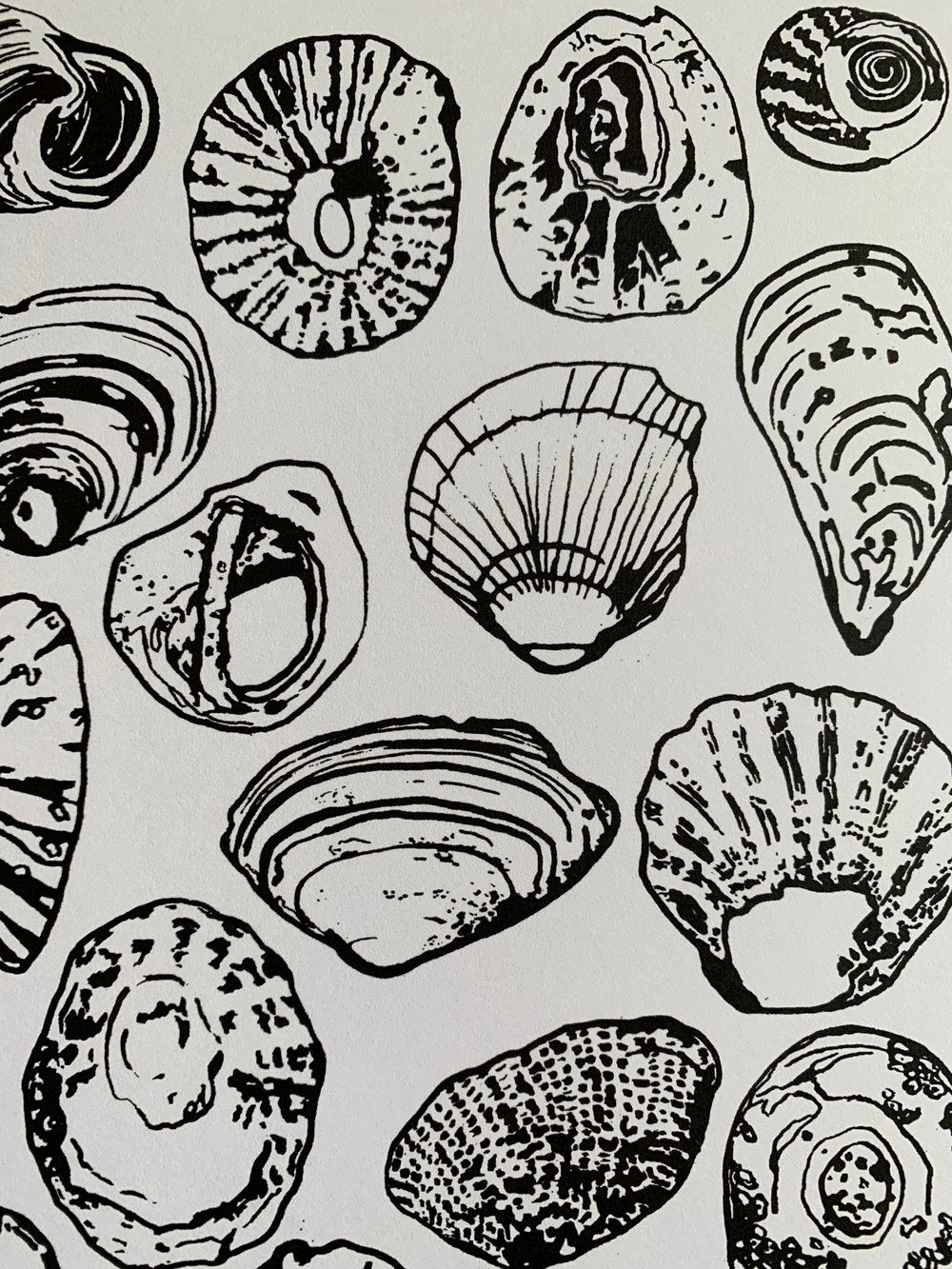 SHELLS WALL ART