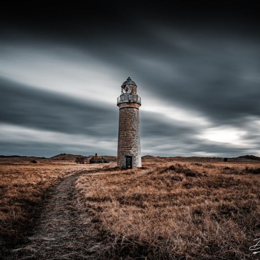 COASTAL COLLECTION - BUDDON NESS