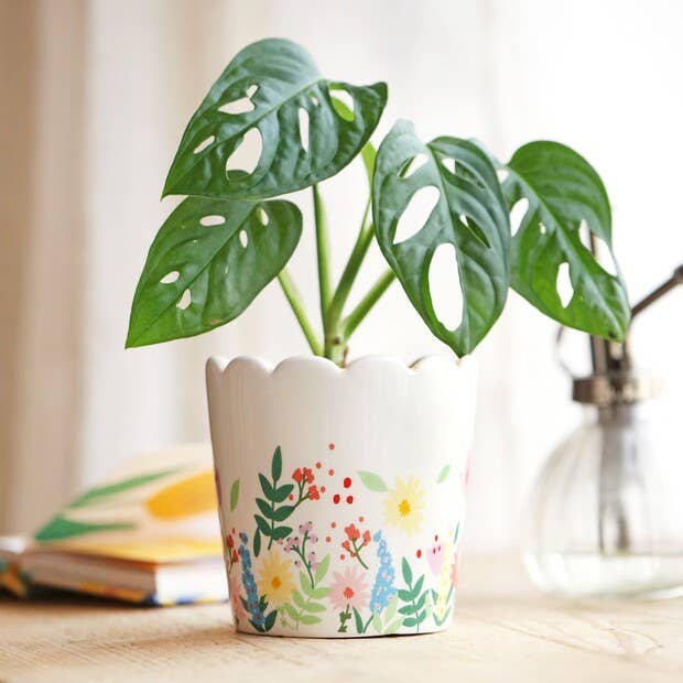 Lisa Angel Floral Scallopped Planter 4
