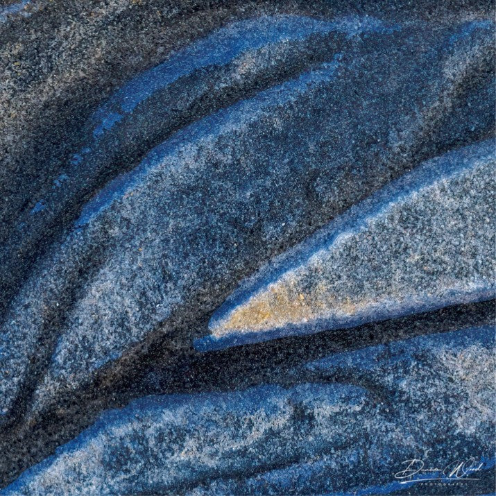 COASTAL COLLECTION - NORTH SEA SANDS