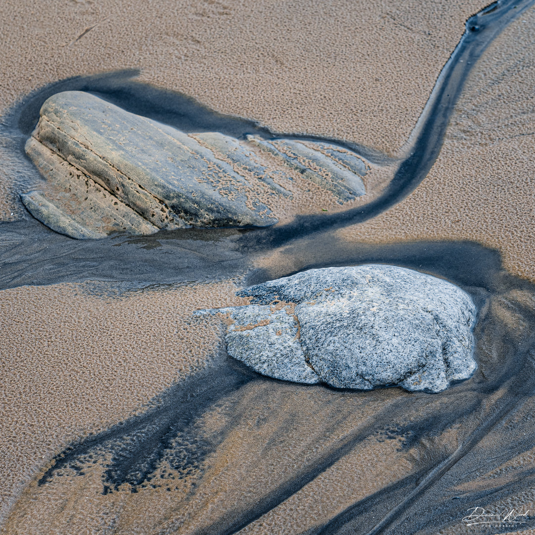 COASTAL COLLECTION - SAND AND PEAT
