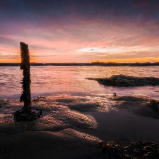 COASTAL COLLECTION - WESTHAVEN SUNSET