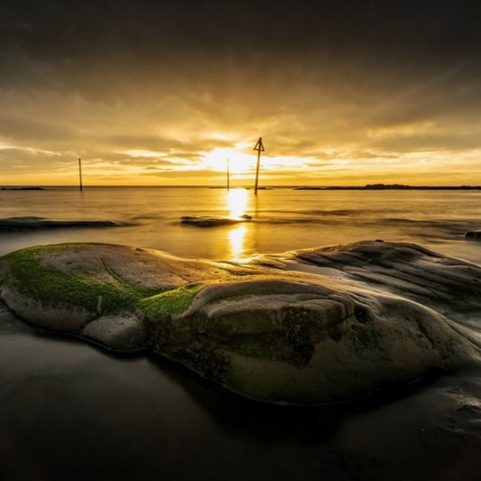 COASTAL COLLECTION - GOLDEN DAWN