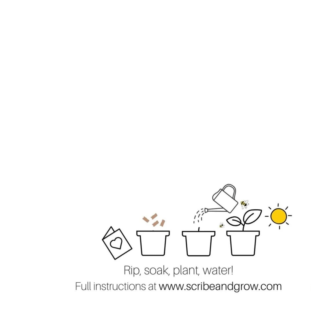 PLANTABLE 'WEDDING DAY' CARD