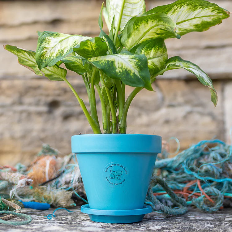 CHELSEA POT & SAUCER SET