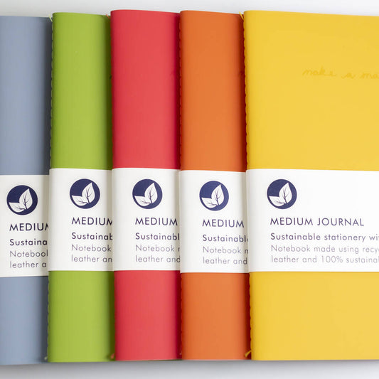 Slim A5 recycled leather journal with lined and plain pages in flexible cover