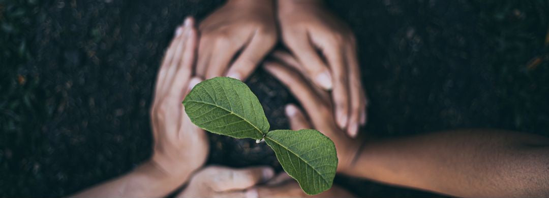 Sustainable Choices that Still Spark Joy
