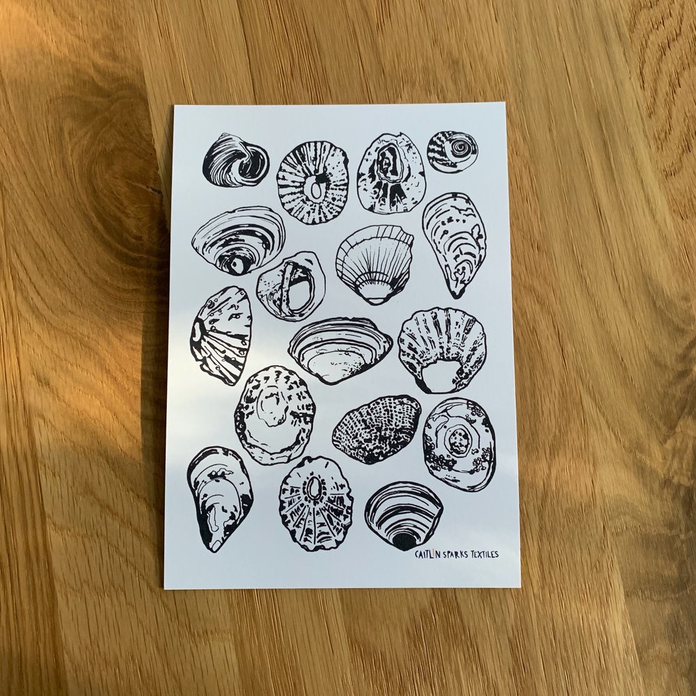 SHELLS WALL ART