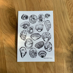 SHELLS WALL ART