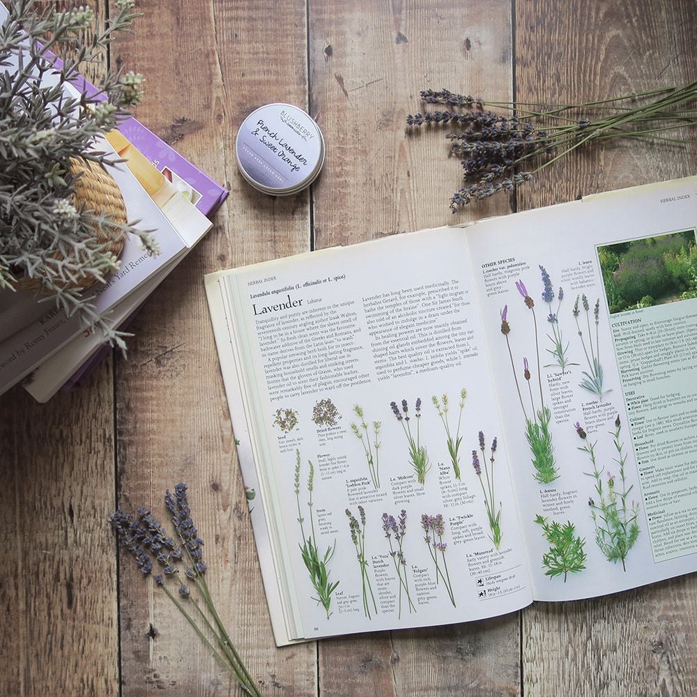 Open book on a wooden surface with lavender flowers and a small container.