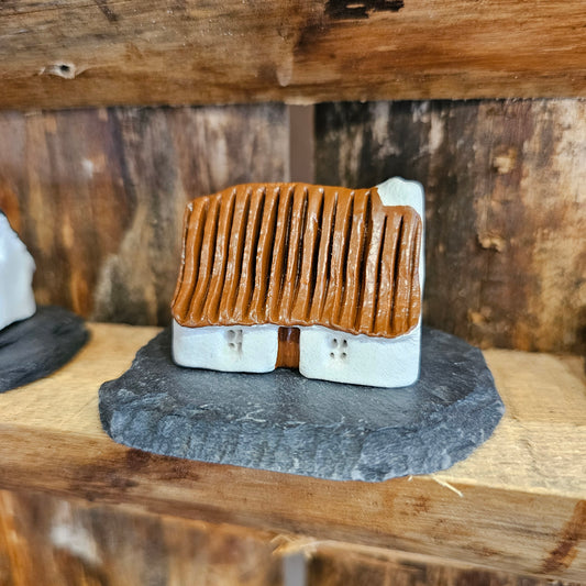 WONKY BOTHY - BROWN