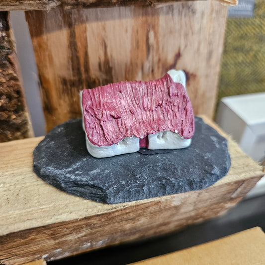WONKY BOTHY - PINK