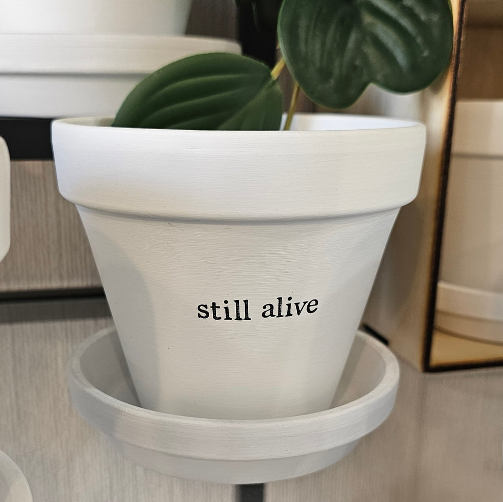 STILL ALIVE