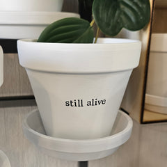 STILL ALIVE