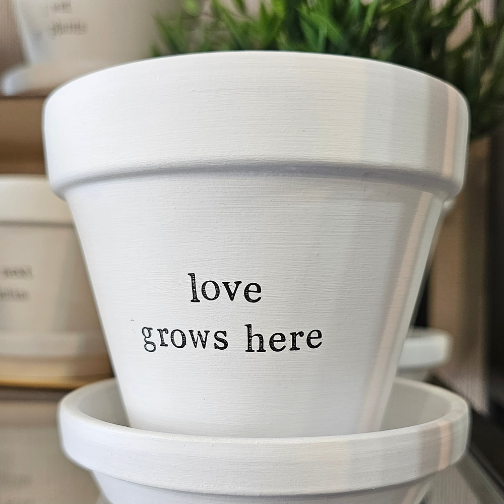 LOVE GROWS HERE