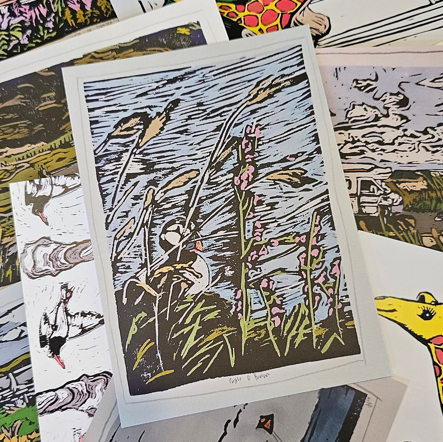 POSTCARDS