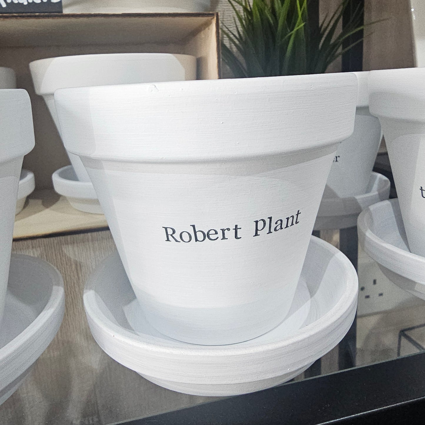 White painted terracotta pot with 'Robert Plant' text detail by Mason and James