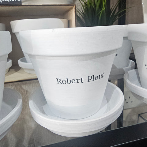 ROBERT PLANT