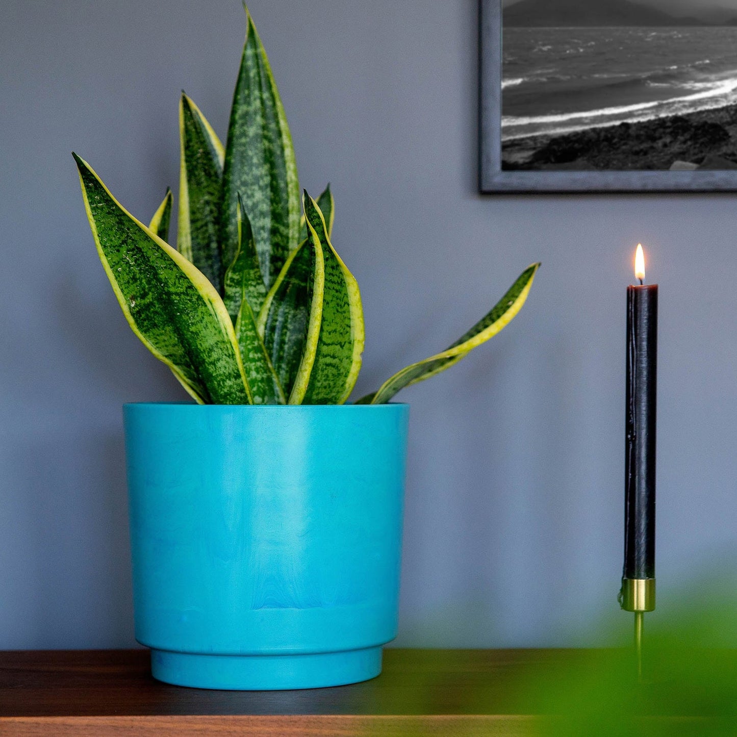 BURTON PLANTER