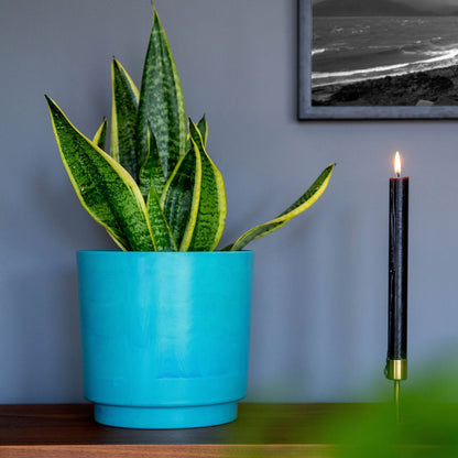 BURTON PLANTER