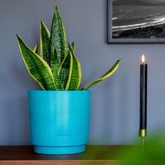 BURTON PLANTER