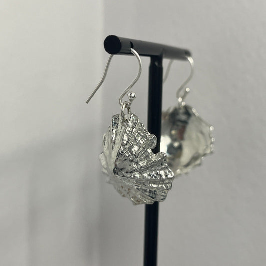 Pewter shell earrings handmade in Scotland cast from real shells jewellery