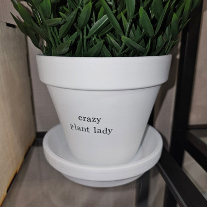 White painted terracotta pot with the text 'crazy plant lady' on it, with matching saucer