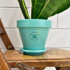 CHELSEA POT & SAUCER SET