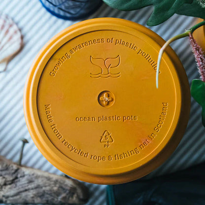BURTON PLANTER