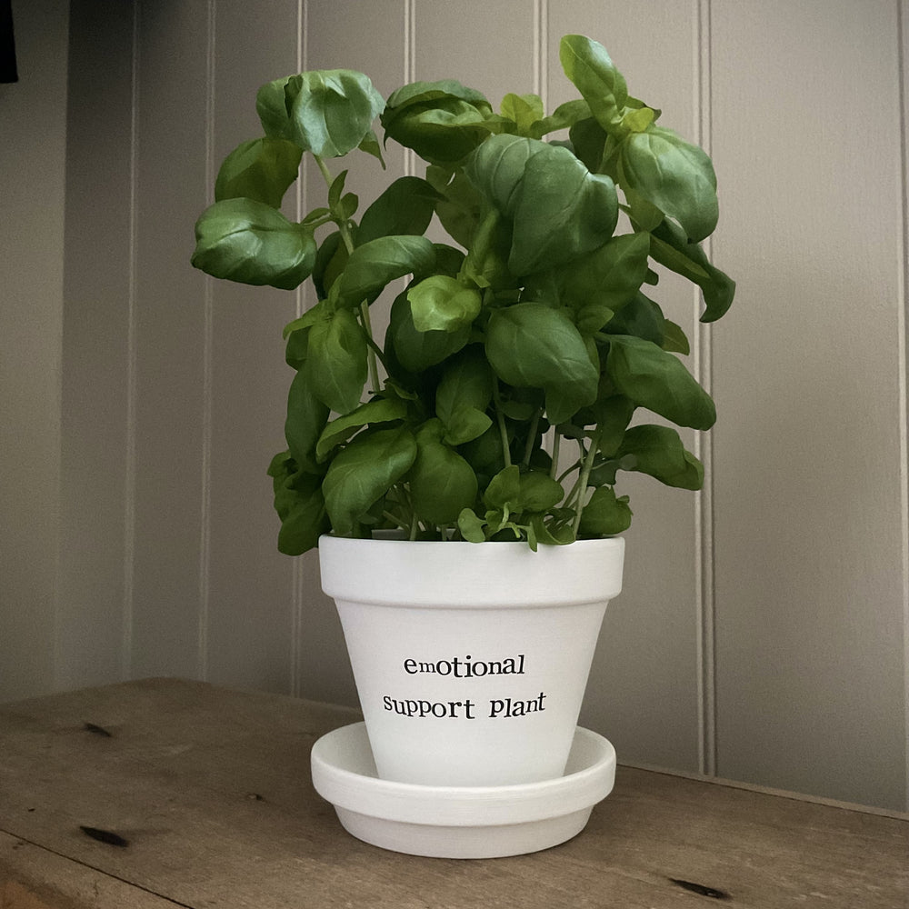 EMOTIONAL SUPPORT PLANT