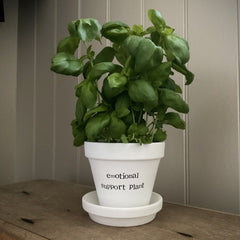 EMOTIONAL SUPPORT PLANT