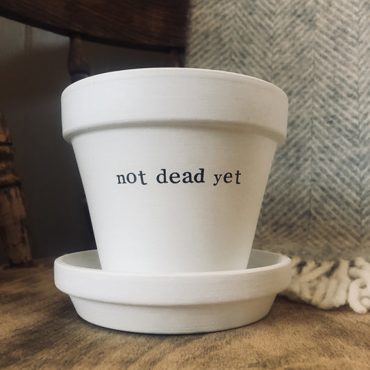 NOT DEAD YET