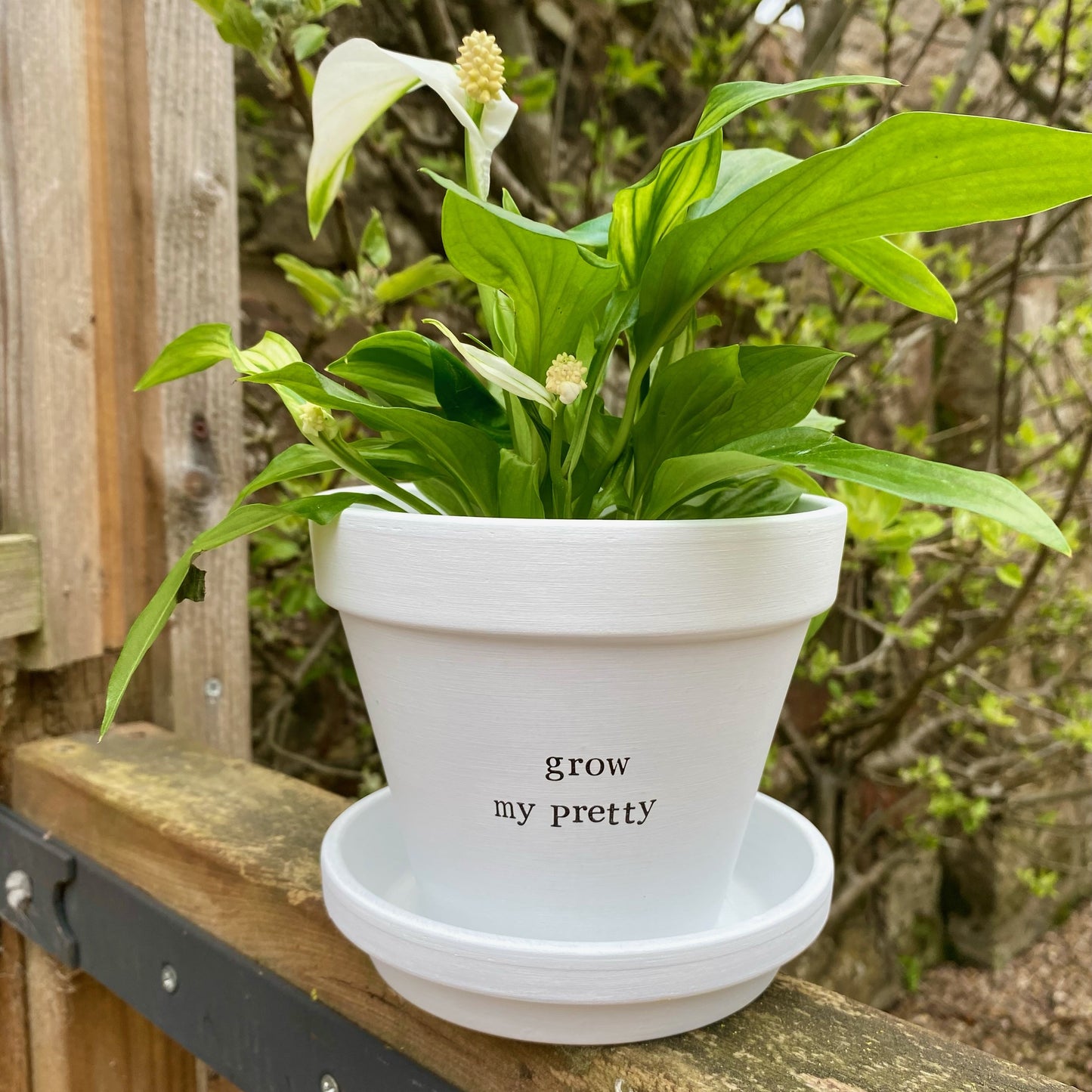GROW MY PRETTY