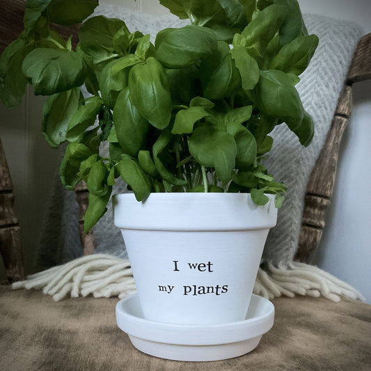 White painted terracotta pot with the text 'I wet my plants' on it, with matching saucer