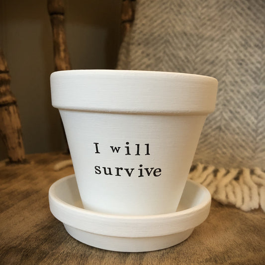 White painted terracotta pot with the text 'i will survive' on it, with matching saucer